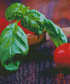 Basil And Tomatoes Diamond Paintings