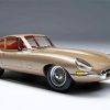 Beige Jaguar Type 1 Diamond Paintings