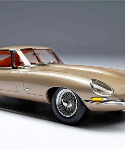 Beige Jaguar Type 1 Diamond Paintings