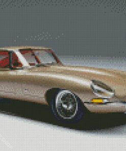 Beige Jaguar Type 1 Diamond Paintings