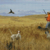 Bird Hunting Artwork Diamond Paintings