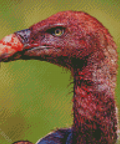 Bloody Volture Bird Diamond Paintings