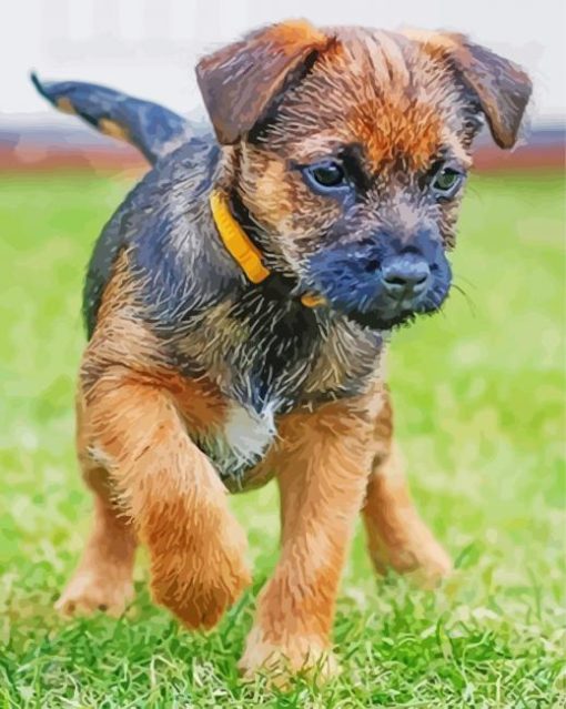 Border Terrier Puppy Dog Diamond Paintings