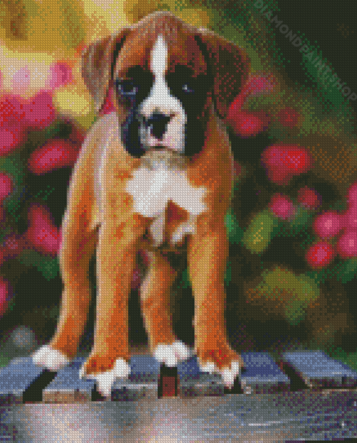 Boxer Puppy Diamond Paintings