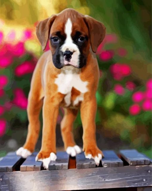 Boxer Puppy Diamond Paintings