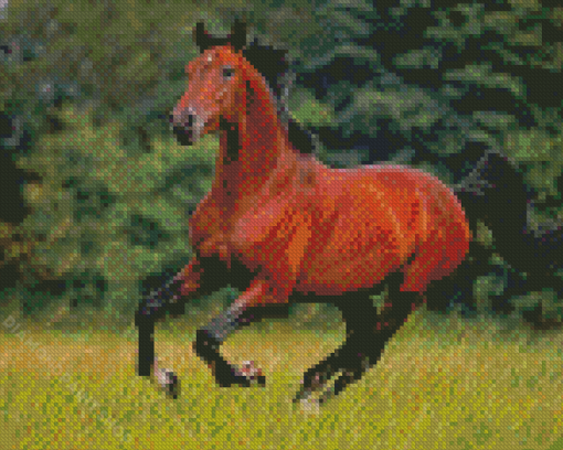 Brown Bay Horse Diamond Paintings