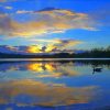 Burnaby Lake At Sunrise Diamond Paintings