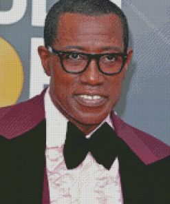 Classy Wesley Snipes Diamond Paintings