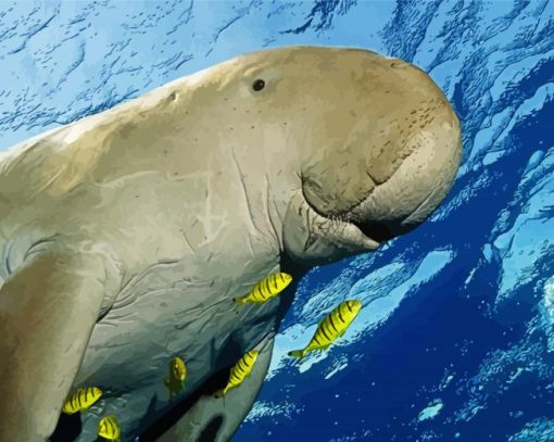 Dugong Animal Diamond Paintings