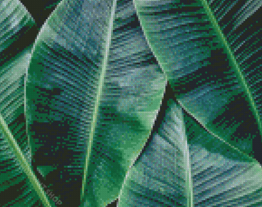 Green Banana Leaves Diamond Paintings