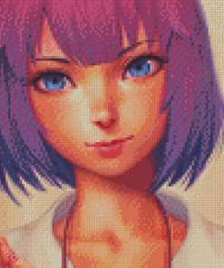 Hitagi Senjougahara Art Diamond Paintings