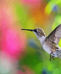 Hummingbird And Bee Diamond Paintings