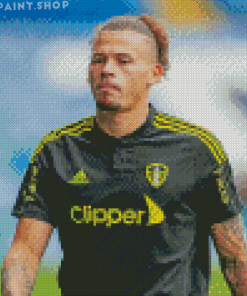 Kalvin Phillips Diamond Paintings