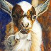 Nigerian Dwarf Goat Art Diamond Paintings