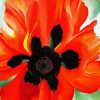 Red Poppy Okeeffe Diamond Paintings