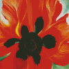 Red Poppy Okeeffe Diamond Paintings