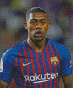 The Professional Player Malcom Diamond Paintings