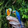 Two Parrots In Jungle Green With Blue Diamond Paintings