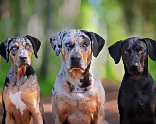 Aesthetic Catahoula Dogs Diamond Paintings