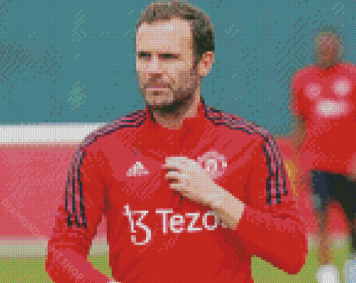 Aesthetic Juan Mata Diamond Paintings