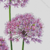 Allium Art Diamond Paintings