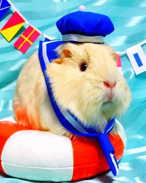 Guinea Pig Sailor Diamond Paintings