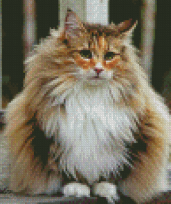 Norwegian Forest Cat Diamond Piantings