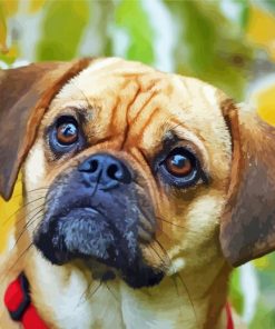 Puggle Puppy Diamond Paintings