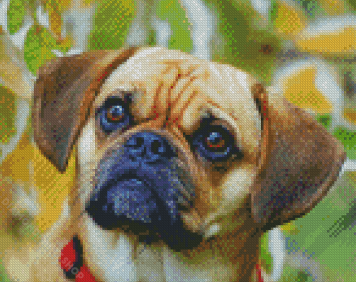 Puggle Puppy Diamond Paintings