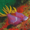 Purple Yellow Sea Slug Diamond Paintings