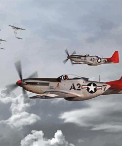 Tuskegee Airmen Military Planes Diamond Paintings