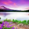 Wonderful Lake And Flowers Diamond Paintings