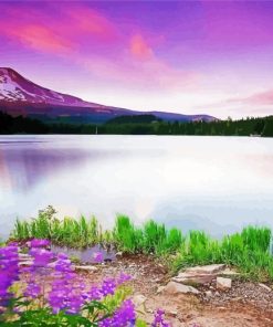 Wonderful Lake And Flowers Diamond Paintings