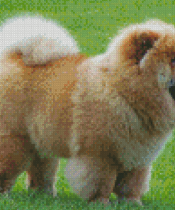 Aesthetic Chow Chow Diamond Paintings