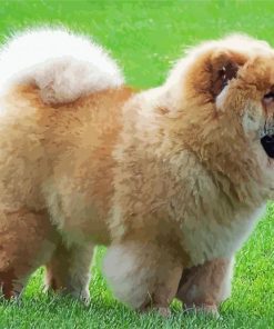 Aesthetic Chow Chow Diamond Paintings