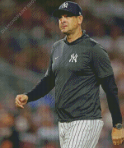 Basebal Manager Aaron Boone Diamond Paintings