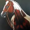 Brown And White Horse Art Diamond Paintings