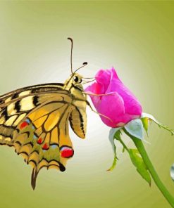 Butterfly And Pink Rose Diamond Paintings