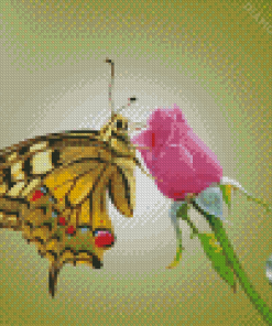 Butterfly And Pink Rose Diamond Paintings