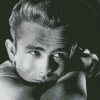 Enigma Of James Dean Diamond Paintings