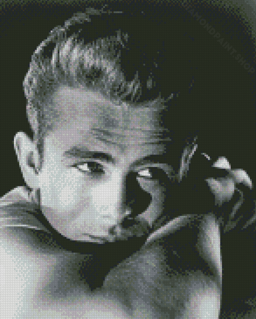 Enigma Of James Dean Diamond Paintings