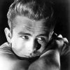 Enigma Of James Dean Diamond Paintings