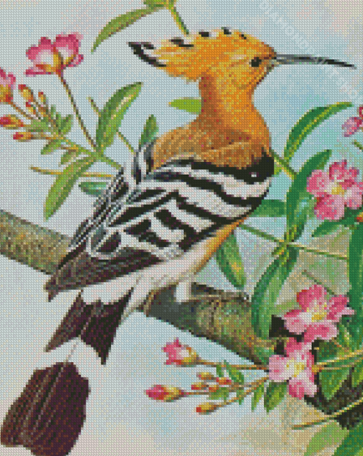 Hoopoe Bird Art Diamond Paintings