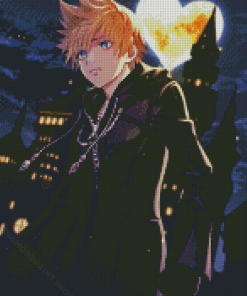 Roxas Illustration Diamond Paintings