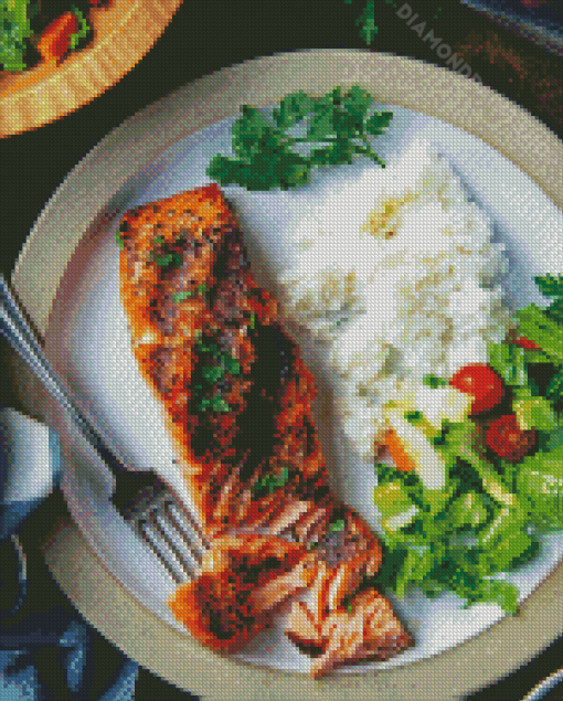 Salmon Fish With Rice Diamond Paintings