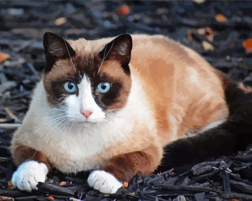 Siamese Snowshoe Cat Diamond Paintings