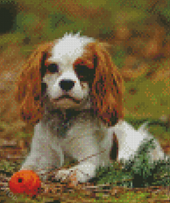 Small Dog Diamond Paintings