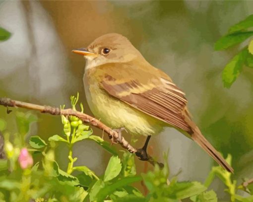 The Flycatcher Bird Diamond Paintings