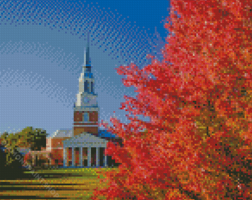 Wake Forest University Buildings Usa Diamond Paintings