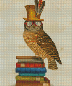 Wise Owl Bird On Books Diamond Paintings